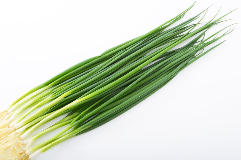 蔥 Spring Onion | 賣菜仔