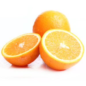 西班牙Bollo橙 ( NEW )