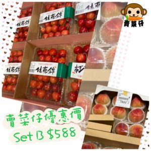 【SET B】賣菜妹直播優惠