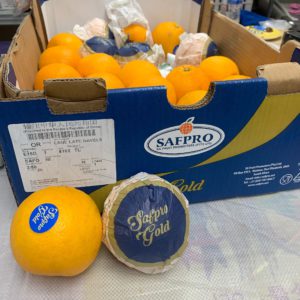南非 Safpro Gold 橙 ( NEW )