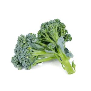 西蘭花苗 Baby Broccoli