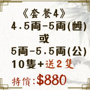 【套餐 4️⃣】極品江蘇大閘蟹🦀