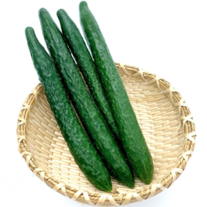 有機刺青瓜 Organic Cucumber
